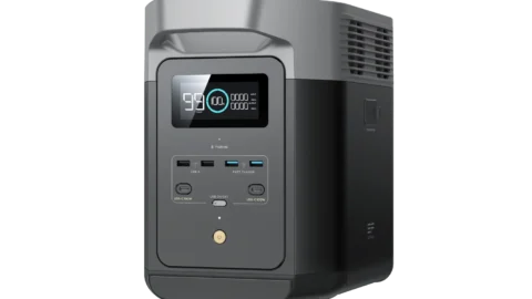 EcoFlow DELTA 2