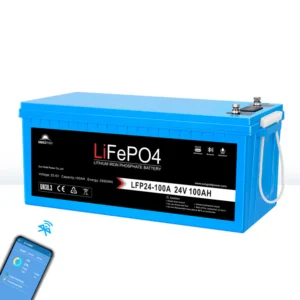 24V 100Ah LiFePo4 Battery