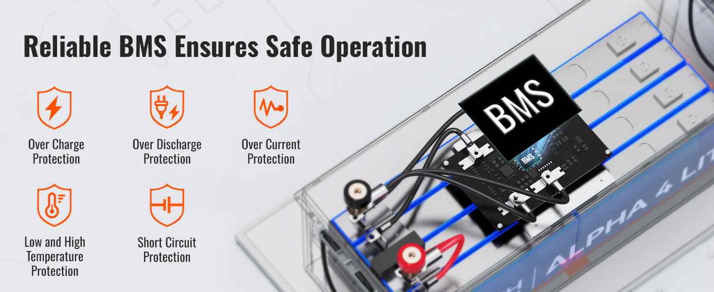 BMS 100Ah LiFePO4 Battery